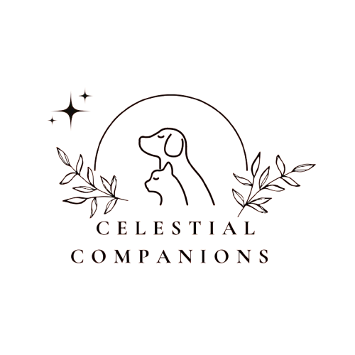 Celestialcompanions.ae